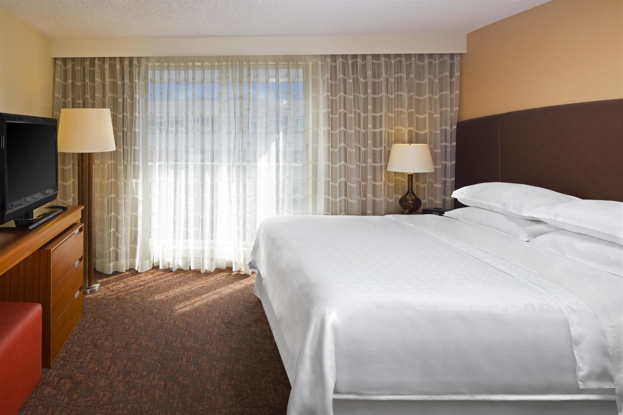 Four Points By Sheraton Suites Tampa Airport Westshore Chambre photo